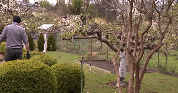 Wypożycz nasiona. Zaskakująca akcja w bibliotece