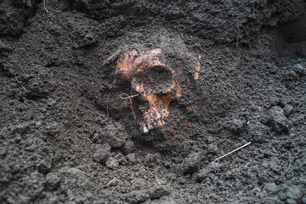 Cmentarzysko ze szczątkami 24 osób, głównie kobiet i dzieci zostało odkryte przez polskich archeologów z Uniwersytetu Wrocławskiego w południowym Peru, na terenie końcowego odcinka rzeki Atico. Badania wykazały, że osoby te nie zmarły w sposób naturalny. Stanowisko, znane jako El Curaca, jest badane przez polskich archeologów od 2022 roku.