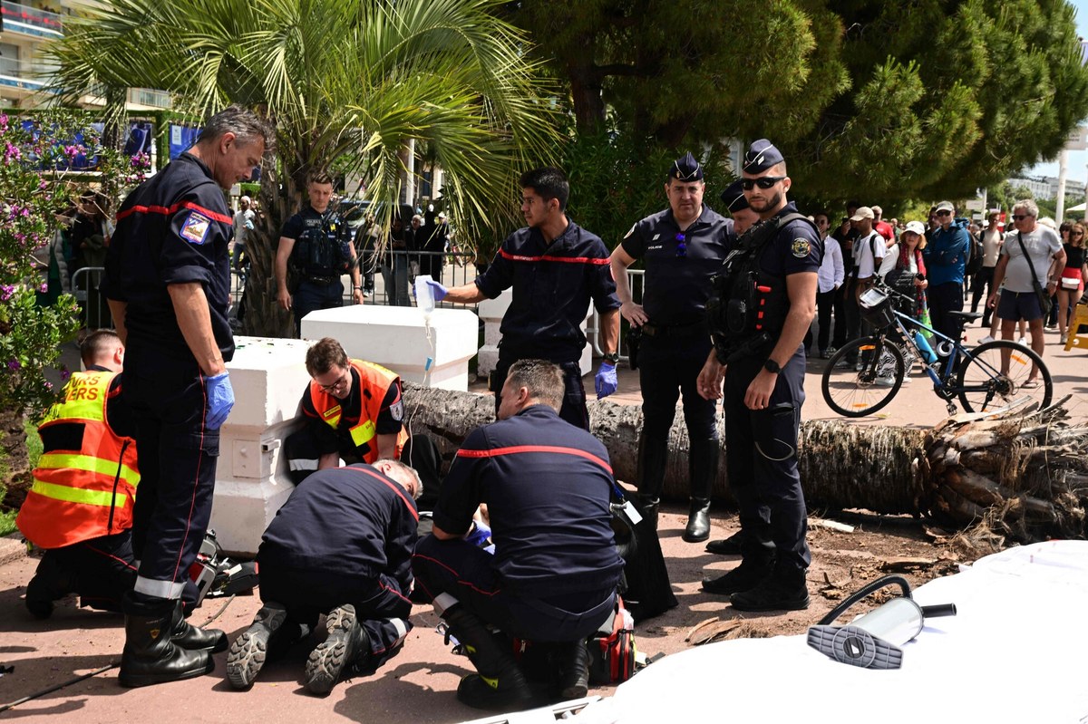 W Cannes, gdzie trwa 78. Festiwal Filmowy, na agenta jednego z aktorów spadła palma. Do wypadku doszło na słynnym bulwarze Croisette. Mężczyzna jest ranny, został zabrany do szpitala. Specjaliści podejrzewają, że palma nagle się złamała, bo jej pień został zniszczony przez chrząszcze - relacjonuje Marek Gładysz, korespondent RMF FN we Francji.