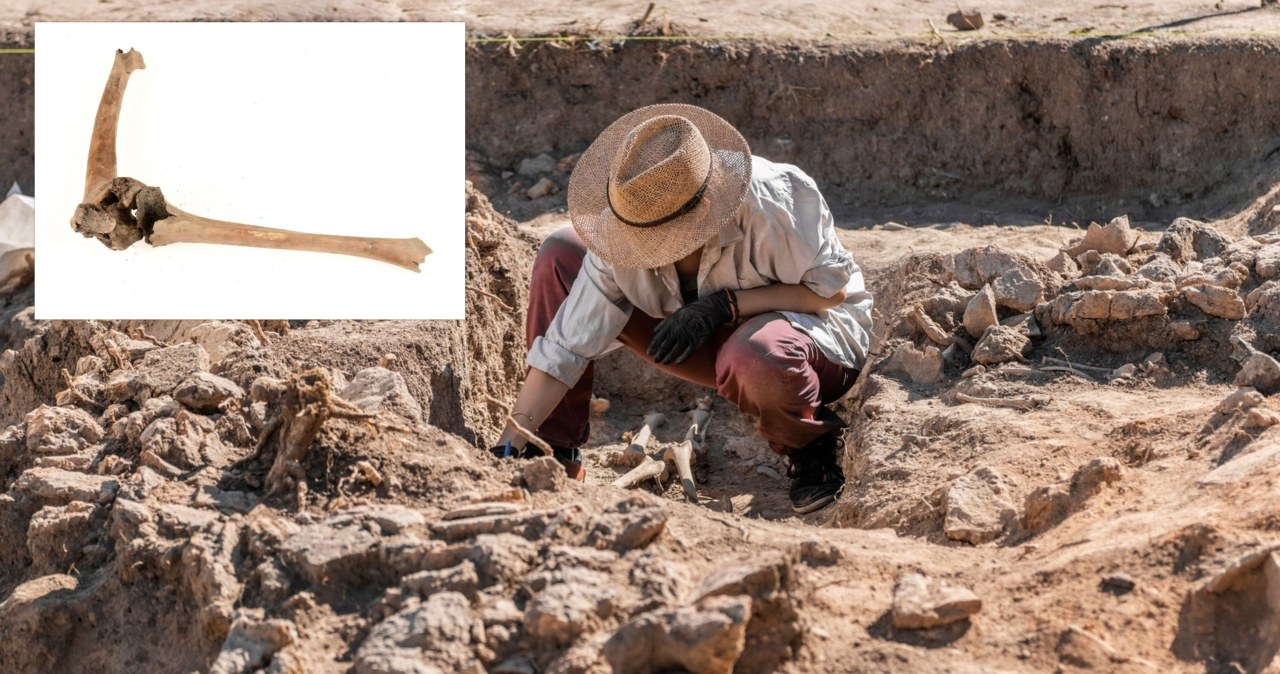 Tak dbano o niepełnosprawnych w średniowieczu… jeżeli byli bogaci