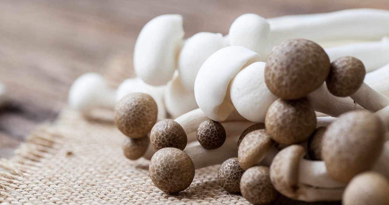 Dodawaj do wielu dań. Obniżą cholesterol i wzmocnią odporność