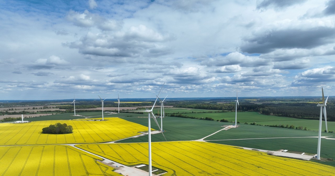 Zmiany we władzach ZE PAK. "Nowe kierunki strategiczne"