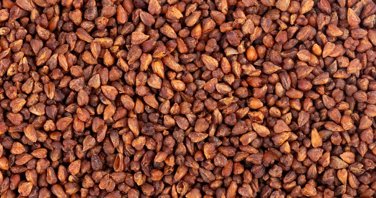 Taką "kaszę" możesz pić zamiast kawy. Wzmocni serce i wygładzi zmarszczki