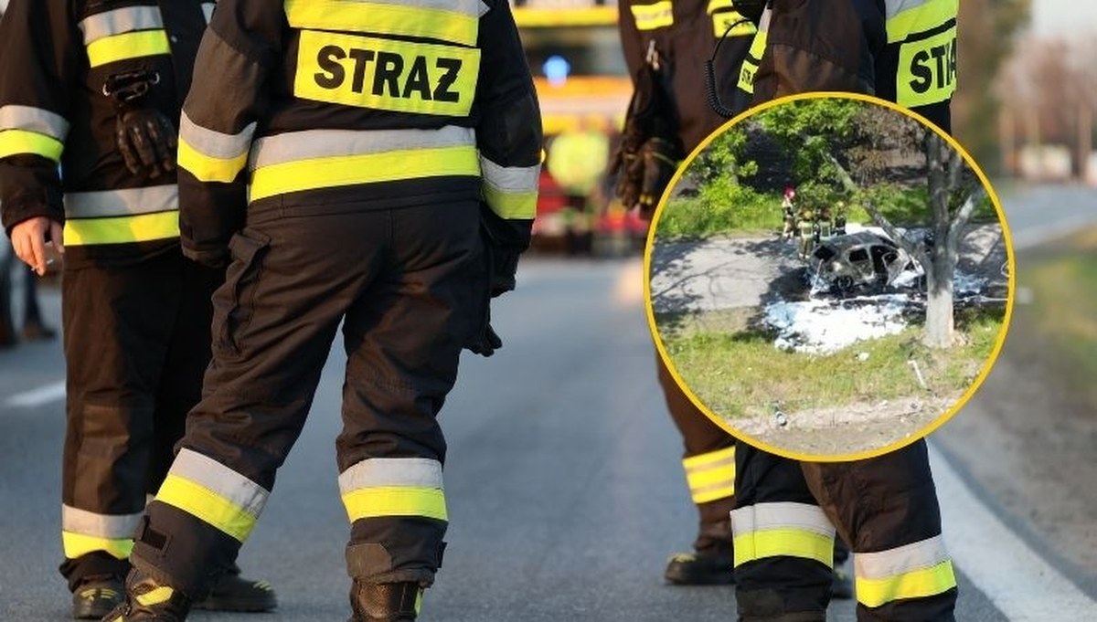 Elektryczne auto uderzyło w drzewo i się zapaliło. Kierowca zginął na miejscu