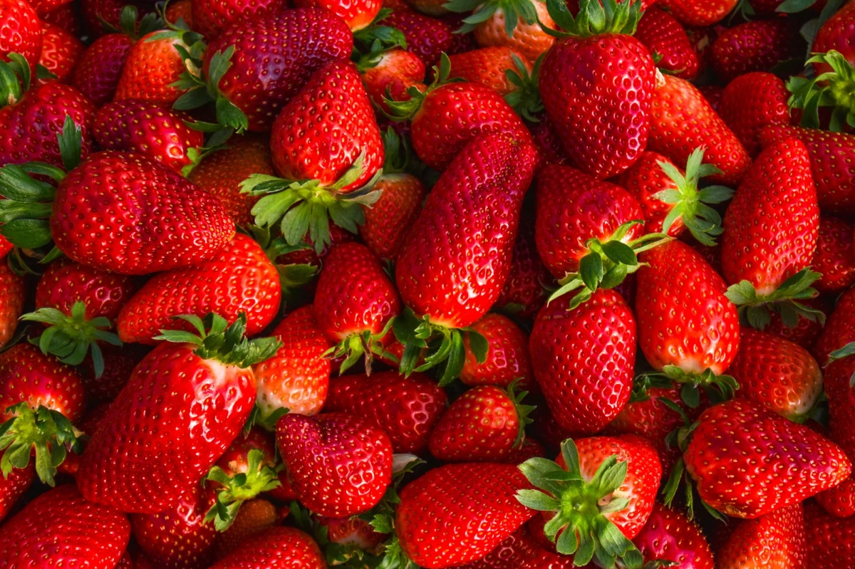 W maju na targowiskach i w supermarketach pojawiają się pierwsze truskawki. Ale uwaga: nie wszystkie pochodzą z polskich plantacji. Część jest z importu i może zawierać niepożądane substancje chemiczne.