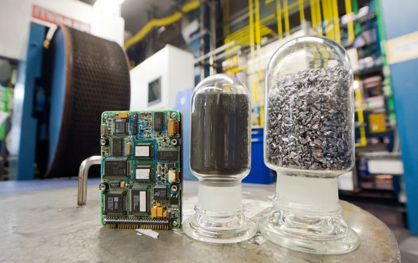 Metale ziem rzadkich z odzysku. Grzyby wyciągną skarby ze śmieci