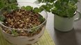 "Ewa gotuje": Deser w stylu tiramisu