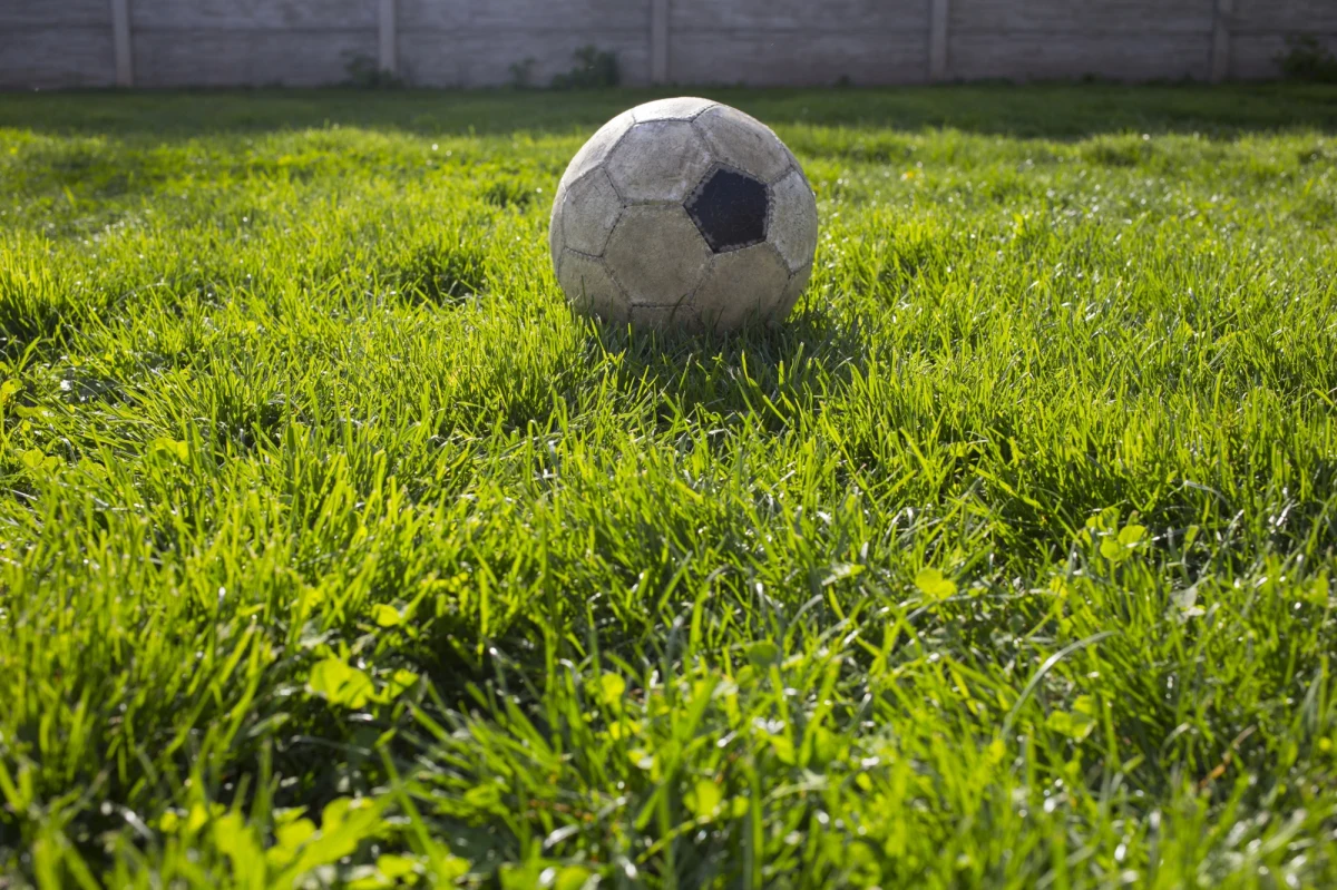 Para Brytyjczyków pozwała radę miasta w sprawie piłek ze szkoły lądujących w ogrodzie ich domu… i wygrała. Mohamed i Marie-Anne Bakhaty twierdzili, że z tego powodu nie mogli korzystać ze swojego basenu i musieli odwołać przyjęcie w ogrodzie.