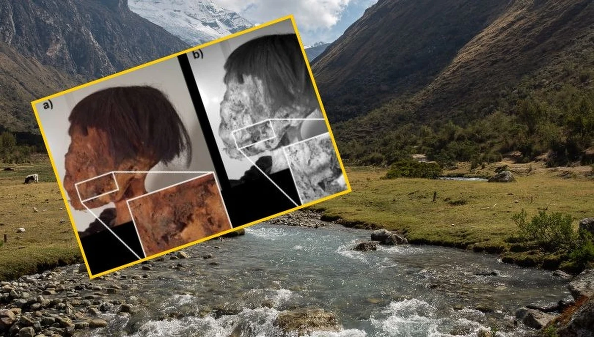 W Muzeum Antropologii i Etnografii Uniwersytetu w Turynie znajduje się mumia kobiety, która żyła około ośmiu wieków temu. To, co odróżnia tę postać od innych znalezisk archeologicznych, to zaskakujące tatuaże zdobiące jej skórę – odkrycie, które rzuca nowe światło na praktyki i tradycje kulturowe dawnych cywilizacji Ameryki Południowej.