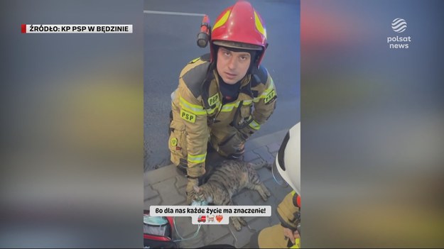 Gdy płonie dom, pomocy potrzebują nie tylko mieszkańcy, ale i żyjące z nimi zwierzęta. Strażacy z Będzina udowodnili, że ważne dla nich jest uratowanie każdego życia. W trakcie pożaru właściciele nie byli w stanie wynieść z budynku kotów i psa. Dzięki szybkiej akcji ratowników i podaniu tlenu Mundek żyje i ma się dobrze. Materiał dla "Wydarzeń" przygotował Jakub Zegadło.
