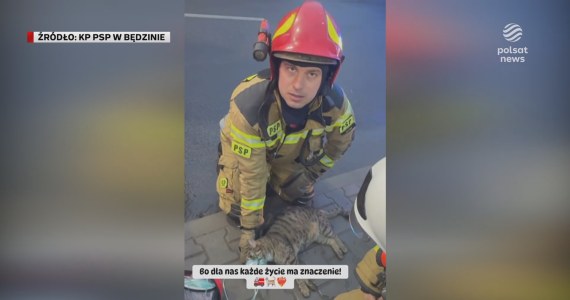 "Wydarzenia": Strażacy uratowali z pożaru psa i koty