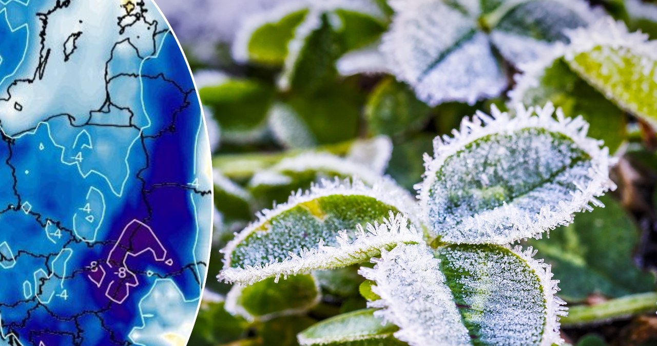 Wróci wiosenne zagrożenie. Sadownicy muszą zachować czujność