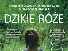 Dzikie róże
