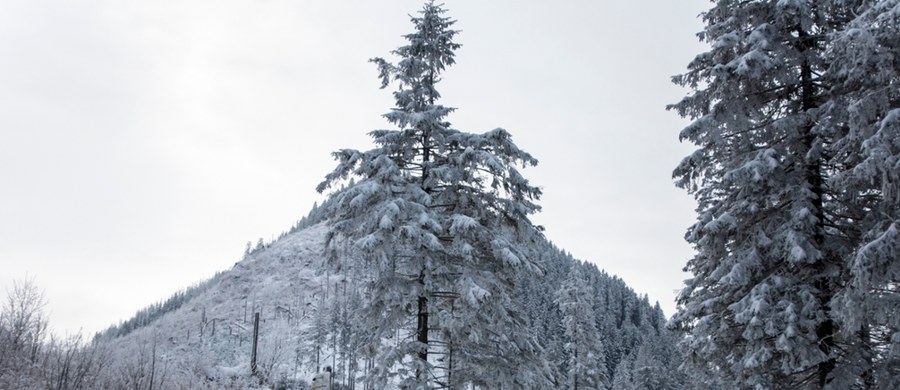 W górach zima trwa w najlepsze. W partiach szczytowych Tatr pada śnieg, a warunki do uprawiania turystyki są trudne – ostrzega Tatrzański Park Narodowy (TPN). Widzialność jest znacznie ograniczona, szczególnie powyżej górnej granicy lasu. Obowiązuje pierwszy stopień zagrożenia lawinowego.