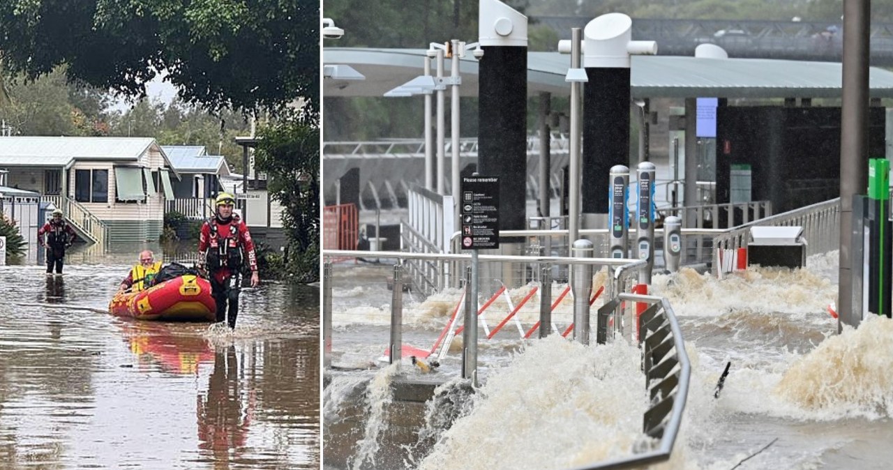 Walczą nie tylko z wielką wodą. Niespodziewany pojedynek z kangurem