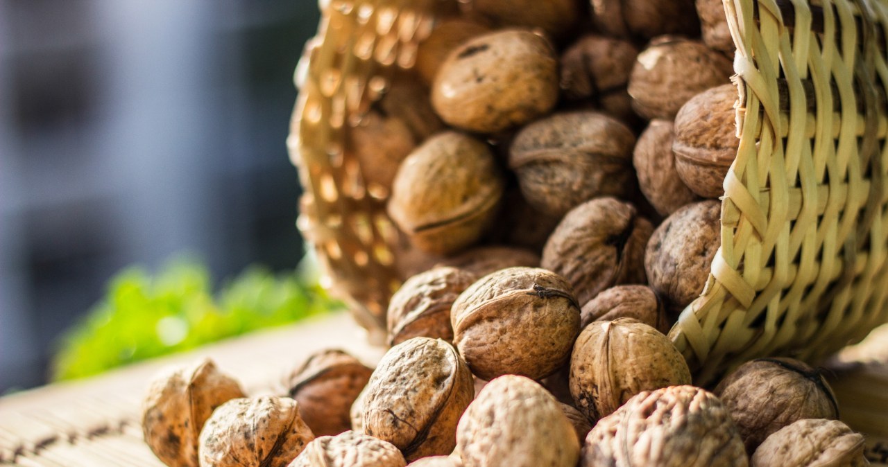 Zaskakujący sposób na lepszą pamięć — efekt już po jednym śniadaniu!