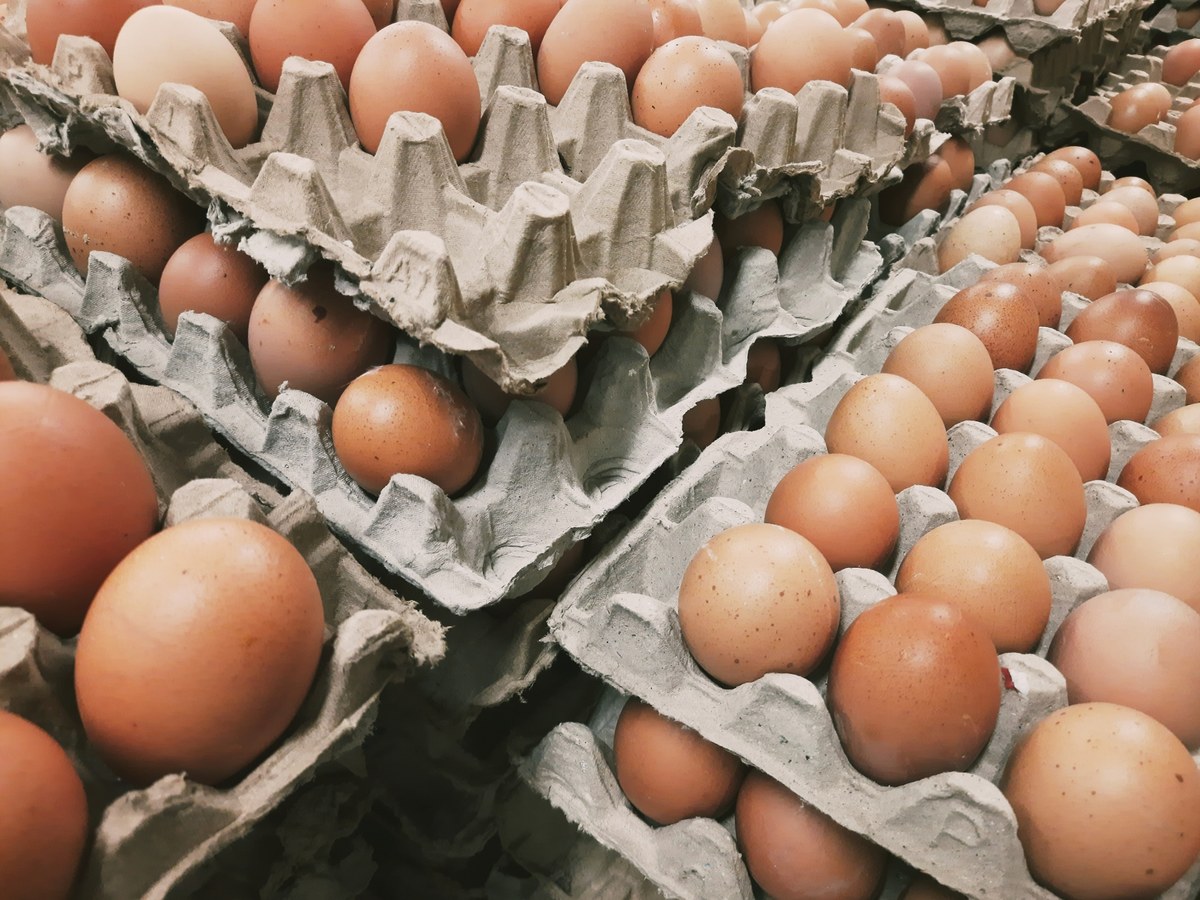 6 czerwca, po wygaszeniu wolnego handlu UE z Ukrainą, 13 produktów rolnych, takich jak zboże, wieprzowina, wołowina, mleko w proszku, jaja i drób pozostanie zwolnionych z obowiązku licencjonowania. Jest to rozwiązanie tymczasowe, do czasu wynegocjowania nowej umowy.