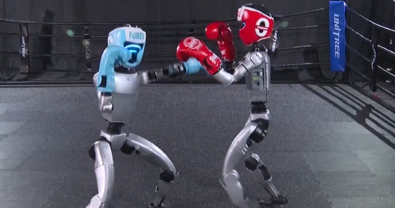 Chiny organizują walki robotów humanoidalnych. Biją się na ringu