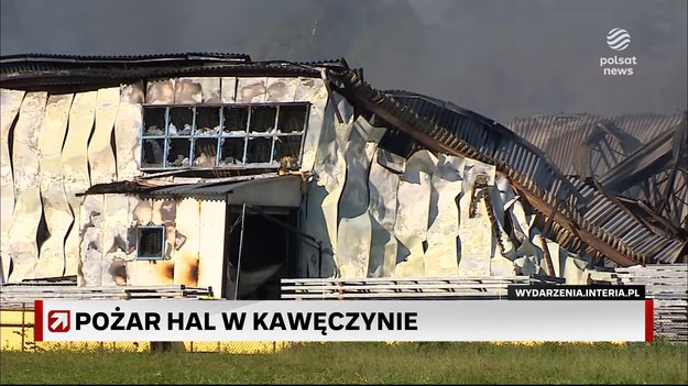 Ogień pojawił się wczoraj wieczorem, a do jego walki skierowano kilkadziesiąt zastępów straży pożarnej.