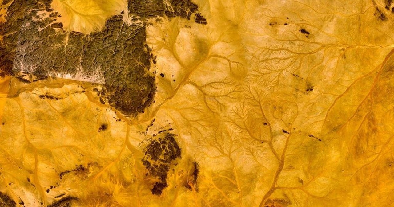 Niezwykłe odkrycie Polaków w Sudanie. Skarb, którego używano po śmierci faraonów