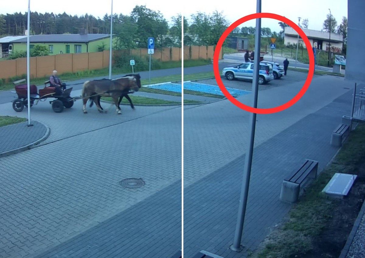 Pijany woźnica wjechał na teren komendy. Policjant nie mógł go dogonić. WIDEO