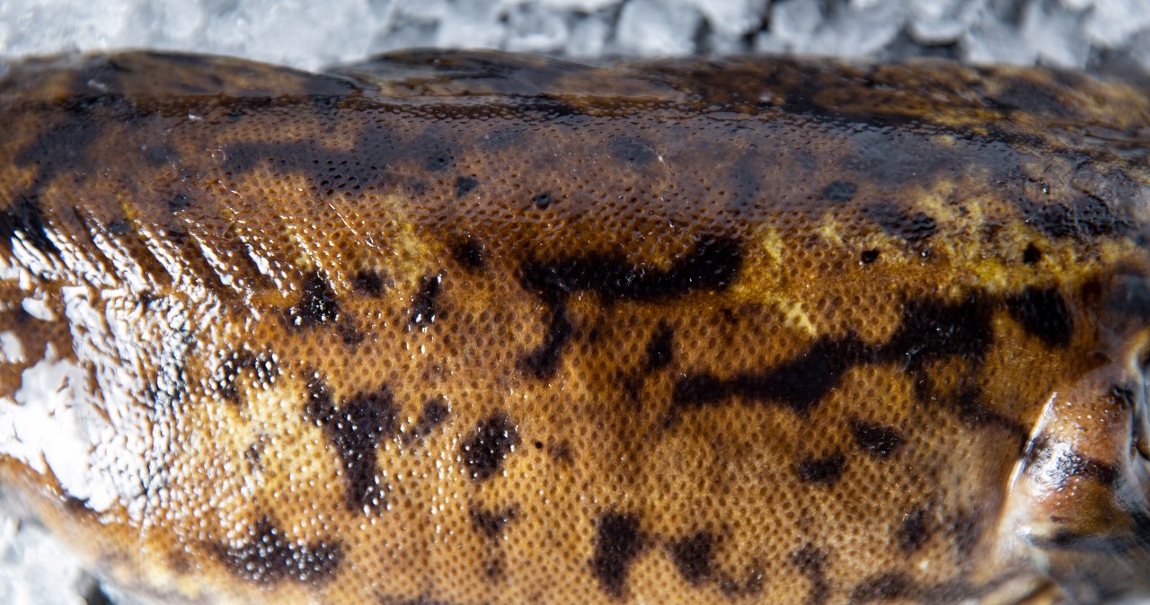 Nie musisz skrobać i martwić się ośćmi. W sklepie rybnym deklasuje rywali