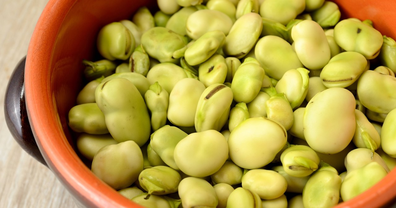 Zielone źródło białka. Obniża poziom cholesterolu, jest dobry dla kości i mózgu