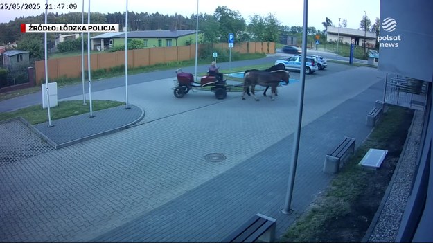 Do zdarzenia doszło w Poddębicach w woj. łódzkim. Woźnica próbował się szybko wycofać, ale został zatrzymany do kontroli. Miał ponad promil alkoholu w wydychanym powietrzu. To zresztą nie pierwszy jego zatarg z prawem. Posiadał już dożywotni zakaz prowadzenia pojazdów mechanicznych.Materiał dla "Wydarzenia" przygotował Adam Malik.