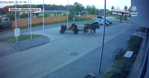 "Wydarzenia": Pijany przyjechał zaprzęgiem konnym na parking komedy policji