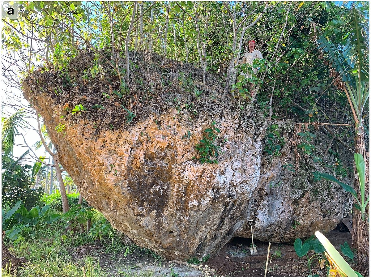 Głaz większy od autobusu przesunięty przez falę. Niezwykłe odkrycie na wyspie Tonga