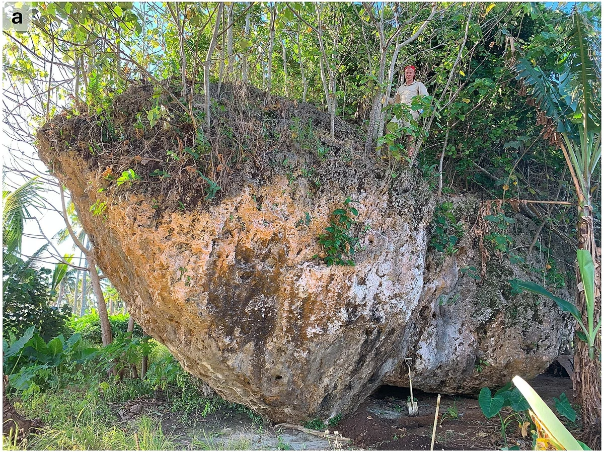 Maka Lahi, czyli "Wielka Skała", od wieków budził zdumienie mieszkańców Tonga. Teraz naukowcy odkryli, że ten gigantyczny głaz został przeniesiony przez falę tsunami o wysokości aż 50 metrów. To dowód na siłę dawnych kataklizmów, które kształtowały wyspy Pacyfiku.