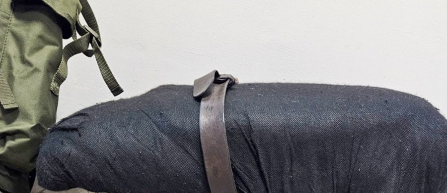 35-latek z powiatu nowodworskiego (woj. mazowieckie) usłyszał zarzuty pomocnictwa w pozbawieniu wolności dwóch obywateli Rosji. Mężczyzna pomagał małżeństwu z Mołdawii, których oskarża się o handel ludźmi i o zmuszanie do żebractwa niepełnosprawnych Rosjan.