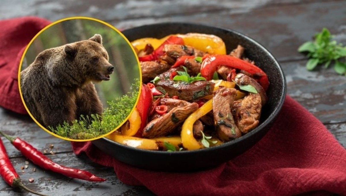 Rewolucja w menu. Mięso niedźwiedzia na sprzedaż