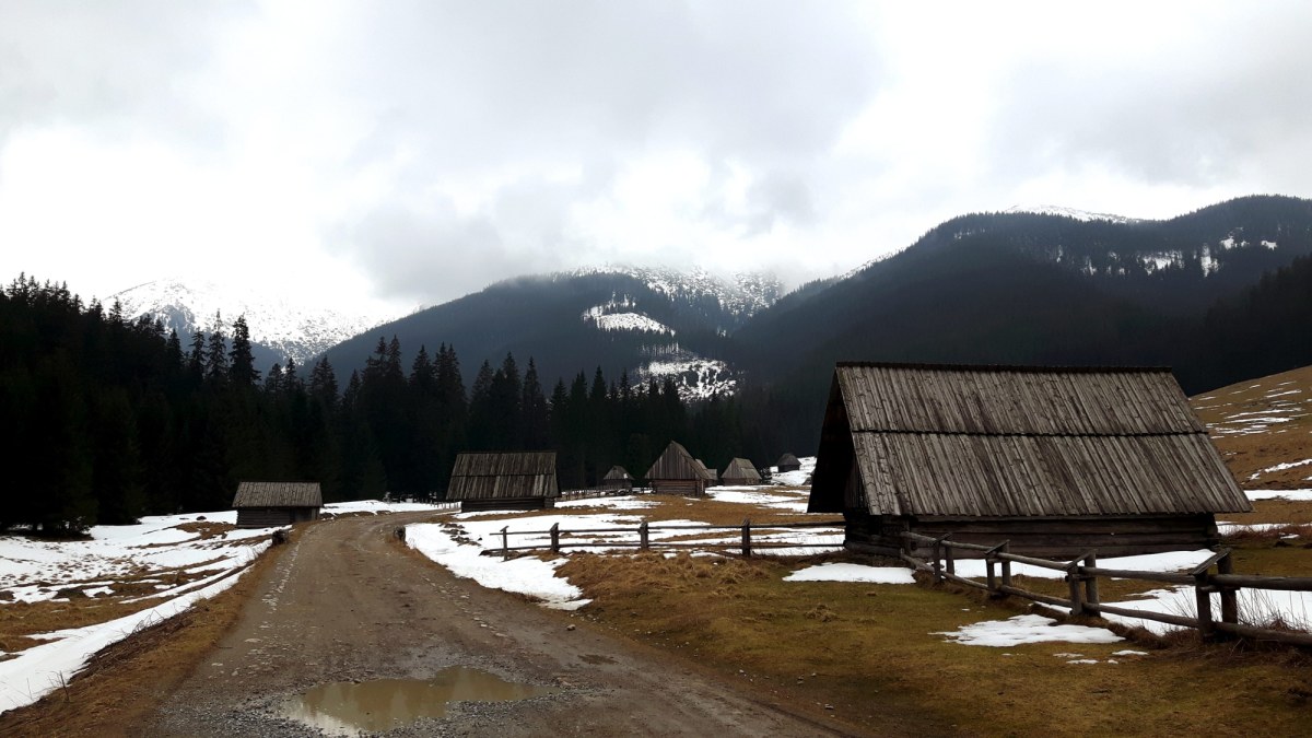 Wybierasz się w Tatry? Ważna informacja ws. Polany Chochołowskiej