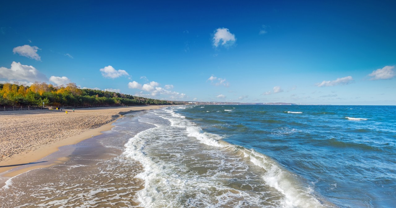 Najlepsze plaże w Trójmieście i okolicach. Zobacz, gdzie spędzić wakacje