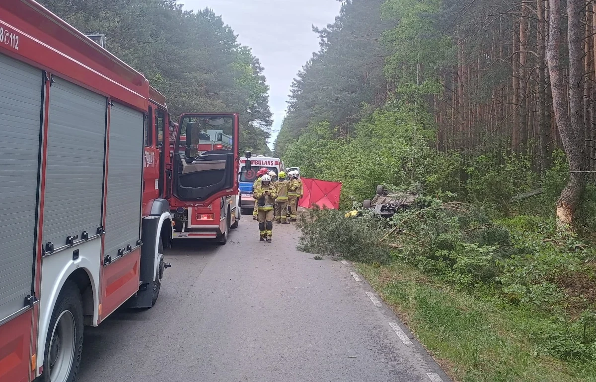 Tragiczny wypadek w miejscowości Zabiele pod Łukowem (Lubelskie). Samochód osobowy zderzył się tam z łosiem, a następnie uderzył w drzewo. Dwie osoby zginęły na miejscu. 