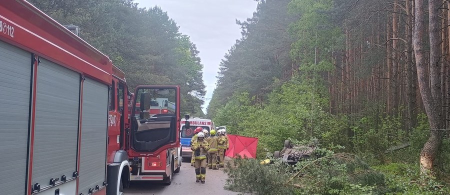 Tragiczny wypadek w miejscowości Zabiele pod Łukowem (Lubelskie). Samochód osobowy zderzył się tam z łosiem, a następnie uderzył w drzewo. Dwie osoby zginęły na miejscu. 