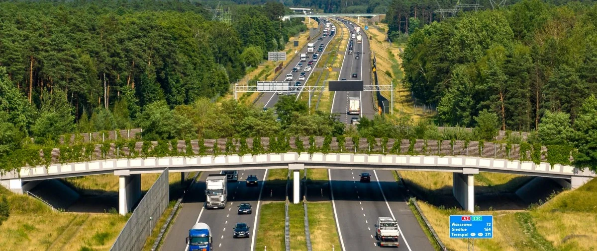 Jest komplet dokumentów pozwalających na rozbudowę autostrady A2 z Łodzi do Warszawy - poinformowano na piątkowej konferencji prasowej. GDDKiA zapowiada rozpoczęcie budowy na początek 2026 roku. Przebudowa ma objąć łącznie 89 km trasy.