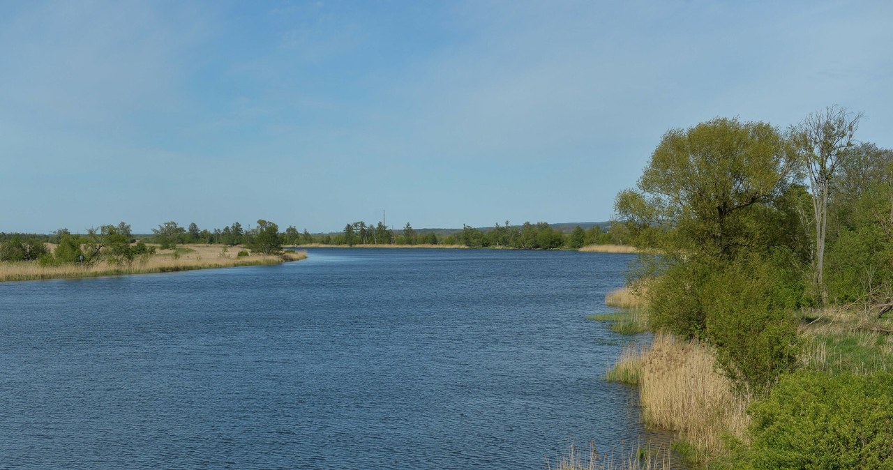 Dolina Dolnej Odry. Z 240 gatunkami ptaków i 460 gatunkami roślin