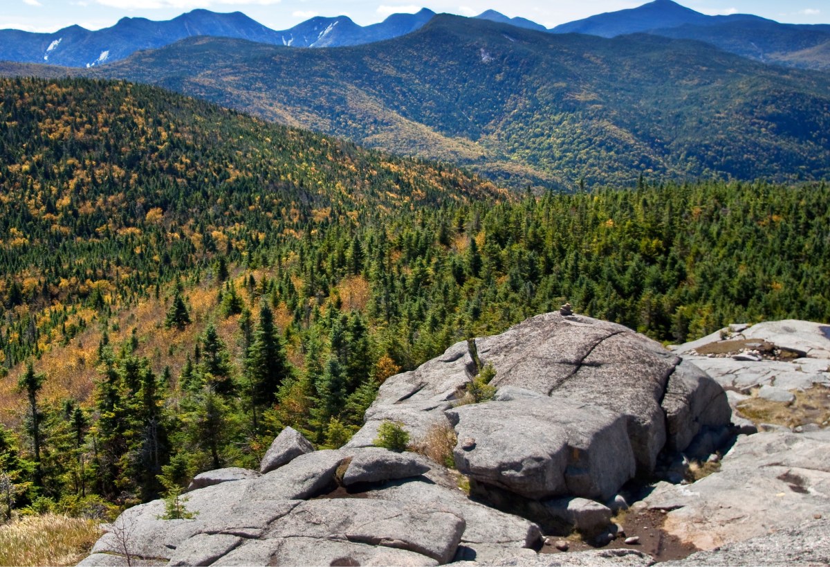 Zjedli grzybki halucynogenne i wyobrazili sobie, iż kolega nie żyje