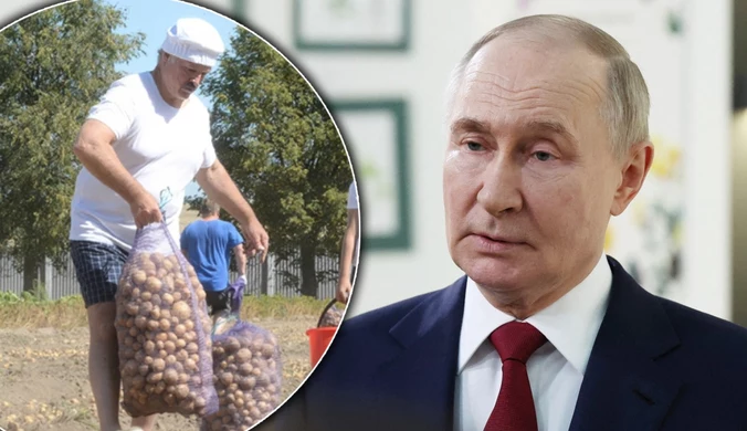 Ziemniaczany kryzys w Rosji, Białoruś nie pomaga. "Sprawa jest poważna"