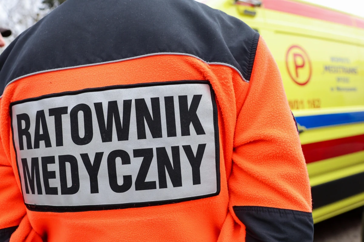 W czasie niedzielnego festynu w Kędzierzynie-Koźlu w województwie opolskim doszło do wypadku. Koń wjechał w grupę ludzi. Poszkodowane jest 3,5-roczne dziecko. 