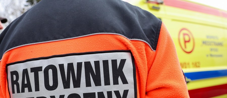 W czasie niedzielnego festynu w Kędzierzynie-Koźlu w województwie opolskim doszło do wypadku. Koń wjechał w grupę ludzi. Poszkodowane jest 3,5-roczne dziecko. 