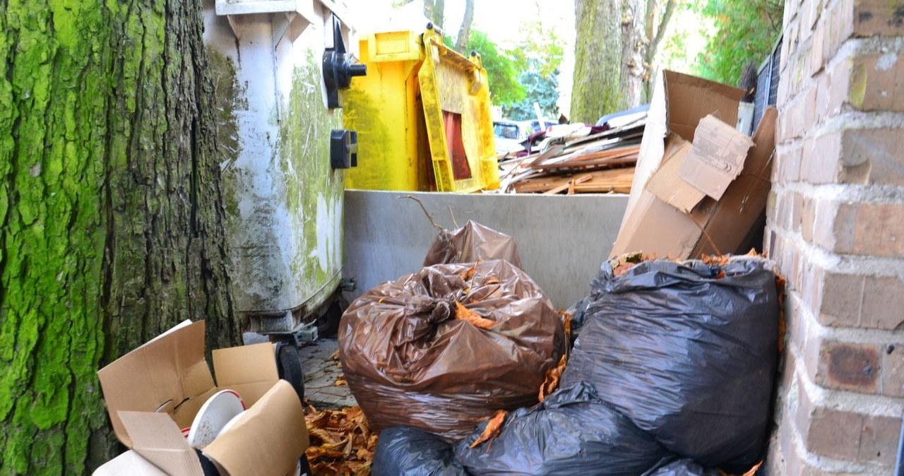 Wymyślił to podczas spaceru. To może być koniec śmieci z plastiku
