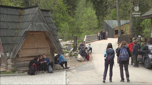 Coraz więcej dzieci rezygnuje z górskich wycieczek lub unika trudniejszych szlaków. Nie dlatego, że się boją, tylko mają problemy z nadwagą i kondycją. Do tego dochodzą masowe zwolnienia z WF-u. Eksperci alarmują, rośnie pokolenie "dzieci niewycieczkowych", czyli takich które nie tylko nie chcą się ruszać, ale po prostu nie są w stanie. Materiał dla "Wydarzeń" przygotowała Teresa Gut.