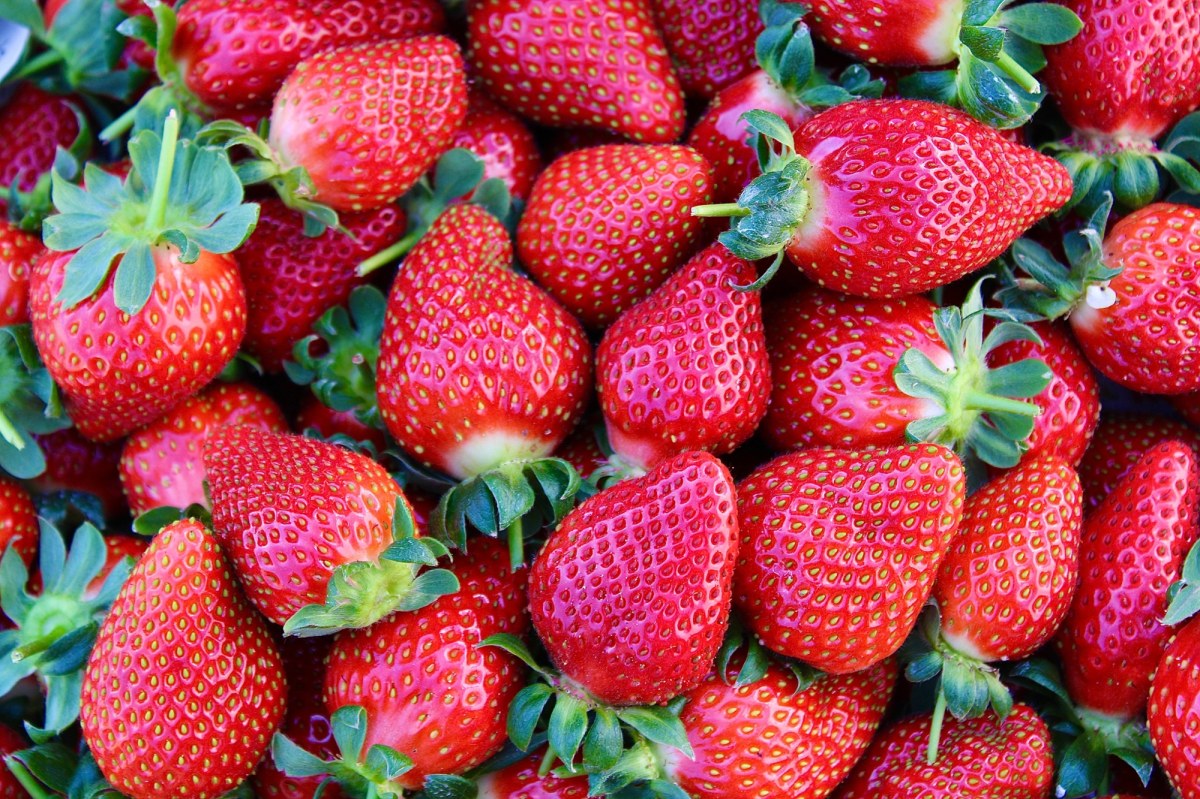 Nie wyrzucaj ich do śmieci! Szypułki truskawek jako superfood