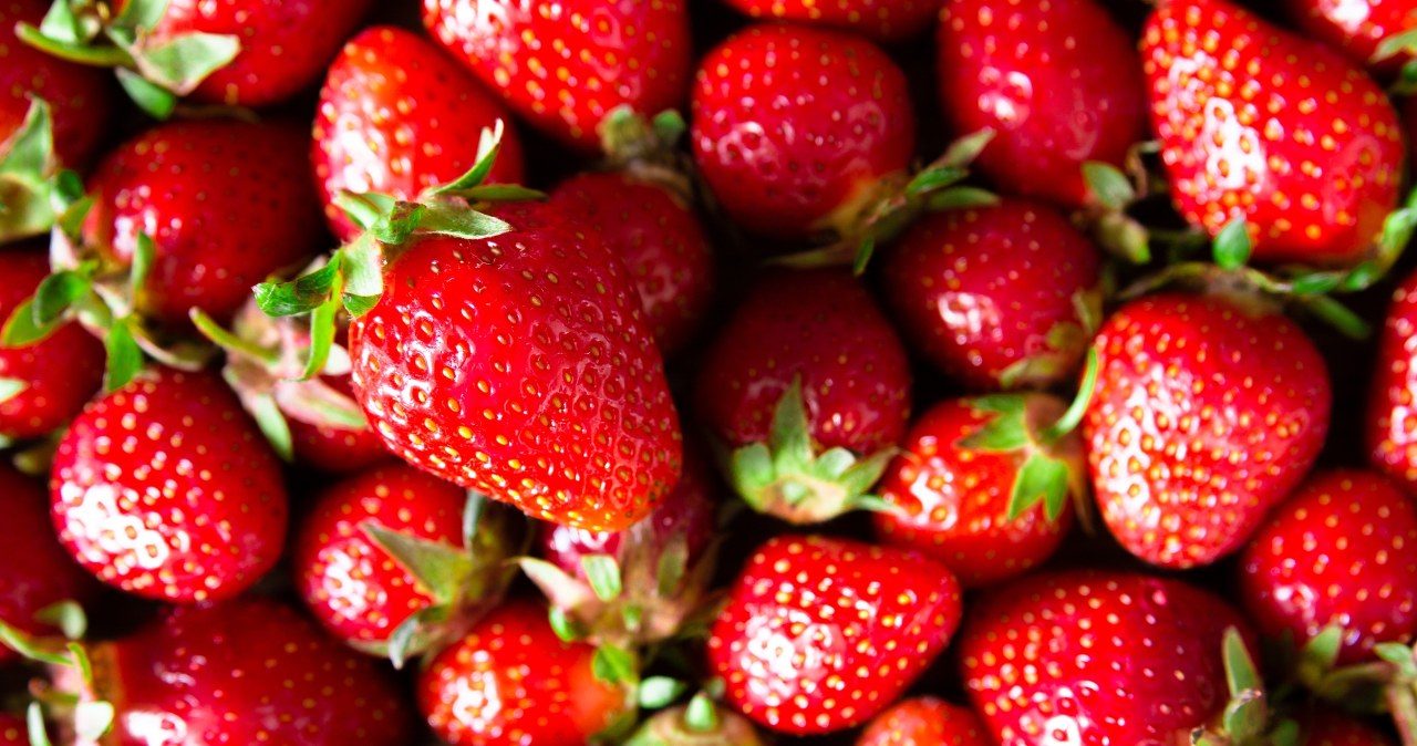 Nie wyrzucaj do kosza. Wpływają na funkcjonowanie mózgu i wzrok