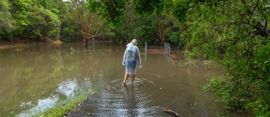 Instytut Meteorologii i Gospodarki Wodnej wydał w poniedziałek ostrzeżenia pierwszego i drugiego stopnia przed gwałtownymi zjawiskami pogodowymi. Prognozy meteorologów sprawdziły się, bowiem w południowej części Polski wystąpiły opady gradu i burze. W sieci pojawiły się nagrania zalanych ulic i chodników.