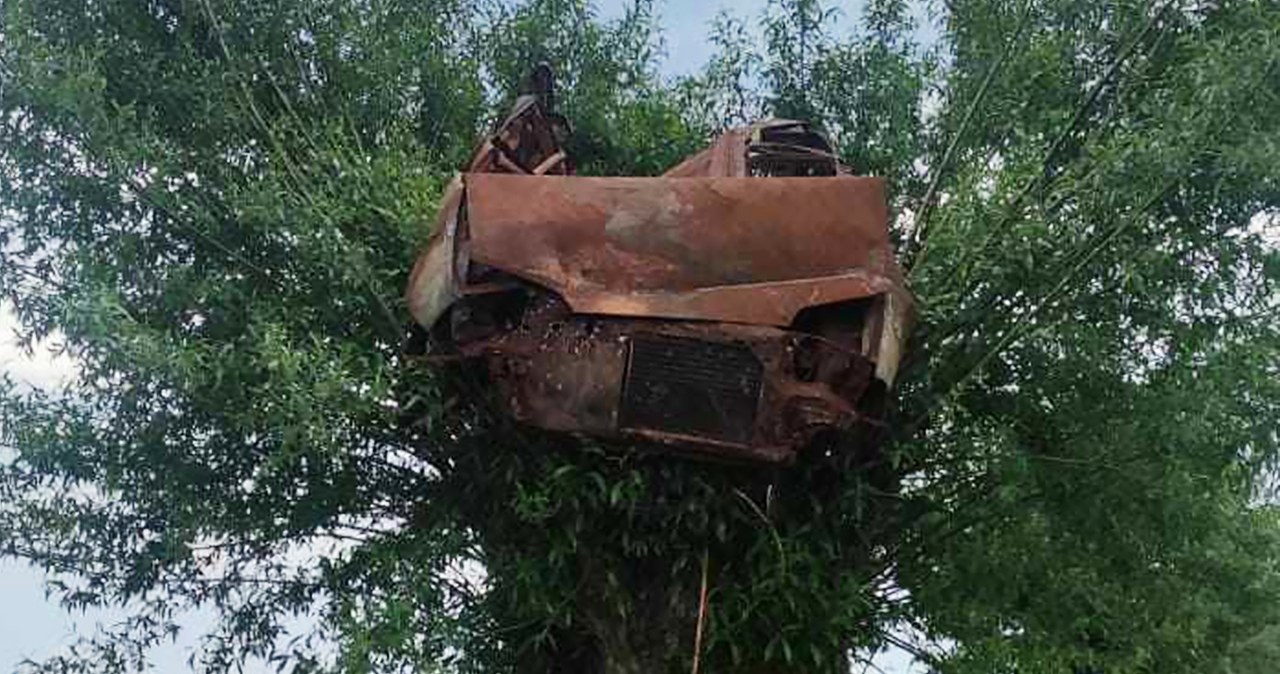 Tajemnicze znalezisko. Spalony wrak na czubku drzewa