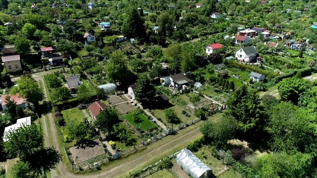 Usuwanie chwastów, przygotowanie ziemi, opryski, a nawet napełnianie basenu. Pracy na działkach ROD jest sporo, ale działkowcy nie narzekają. Przygotowania do sezonu śledził Wojciech Gaweł.